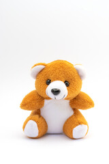 Cute teddy bear on white background