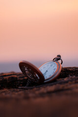 Sticker - Shallow focus of an Old brown Pocket Watch with blurred background