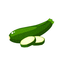 Green Zucchini. Vector Illustration Isolated On White Background.