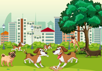 Poster - Many dogs playing in the city park