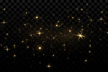 Wall Mural - light effect. background of sparkling particles. glittering elements on a transparent background.
