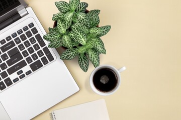 Poster - Office desk with Laptop, blank notepad, flower,