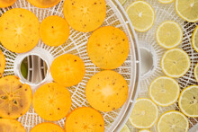 Fresh Persimmon And Lemon Rings Lie On Drying Trays, Top View