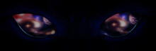 Shaggy Monster Black Eyes Closeup