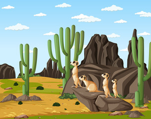 Wall Mural - Desert scene with group of meerkats