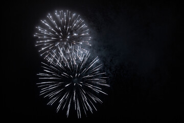 Wall Mural - fireworks in the night sky