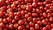 Rote Tomaten und Fleischtomaten auf einem Haufen