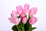 Fototapeta Tulipany - Bunch of pink tulips tulipa isolated on a white background