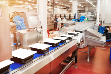 Production line with packaging and cutting of meat.Food industry chicken.Automated production line in modern food factory.Conveyor Belt Food.Meat processing plant. Meat processing equipment.