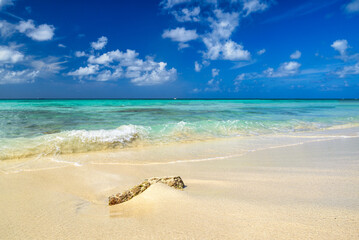 Wall Mural - A panoramic view of Arashi Beach on the island of Aruba in the Caribbean with blue skies and white sand