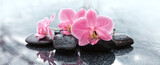 Spa stones and pink orchid flowers on gray background.