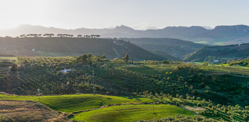 Poster - landscape view of fields around Ronda with the Serrania de Ronda in the background