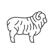 merino sheep line icon vector illustration