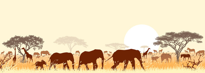 Savannah landscape with animals and trees. Silhouettes of wild animals of the African savanna, against the background of trees and the sun