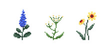 Set Of Pixel Art Flowers. Vintage 90s Gaming 8 Bit Icon Of Lavender, Echinacea And Echinacea Flowers. Vector Pixel Filed And Wild Flowers For Game And Print
