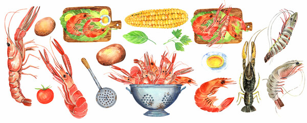 Watercolor seafood. Crawfish Boil, Shrimps, Seafood Fish, Kitchen Watercolor Illustration, printable poster.  Isolated element on a white background. Hand painted in watercolor.
