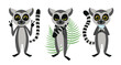 Vector illustration cute and beautiful lemur on white background. Charming character in different poses satisfied, stands cute with a flower and fern leaves in the hands in cartoon style.