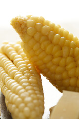 Wall Mural - Choclo con queso a typical ecuadorian appetizer that consists of corncob accompanied by fresh cheese. It’s on a white background. 