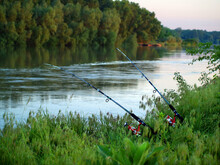 Fishing On The River - Fishing Rods