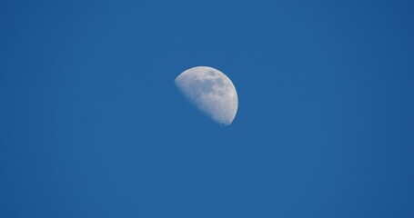Wall Mural - Half moon on a clear day with no clouds