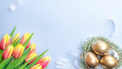 Wall Mural - Easter eggs Golden color in basket with spring tulips, white feathers on pastel blue background in Happy Easter decoration. Festive decoration in flat lay.