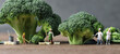 Broccoli and miniature people with business concept. Miniature farmers working and Miniature chefs cooking.
