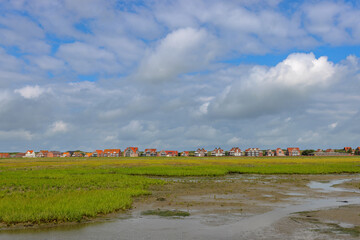 Wall Mural - View from the wadden sea at low tide towards Juist, East Frisian Islands, Germany.