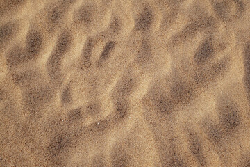 sand texture on the beach