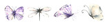 Fototapeta Motyle - Watercolor insect collection-butterflies set. High quality illustration
