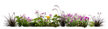 Flowerbed With Different Blooming Plants And Flowers Isolated On White Background