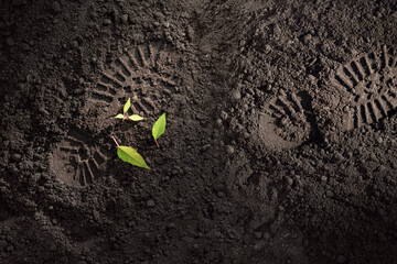 soldier boot prints on the ground and broken green plant sprout, military conflict and war concept, earth day background