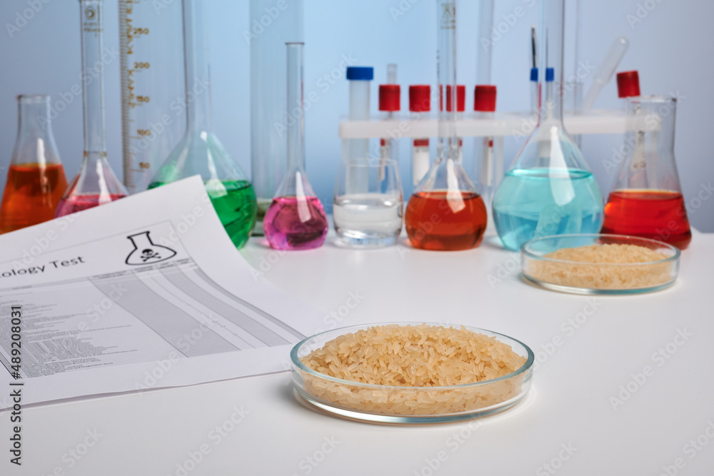Toxic report for rice in a Petri dish - lab photo. Toxicology analysis ...