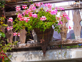 Sticker - Beautiful pink flowers in a pot hanging from a balcony