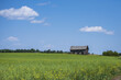 Little farmhouse with a green field in Stony Plain Alberta