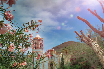 Poster - Scenic view of a church through the leaves of the pink flowers and branches of trees under sunlight