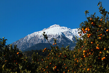 Lycian Olympus, the highest mountain in Beydaglari Coastal National Park near Kemer, a seaside resort in Antalya Province, Turkey