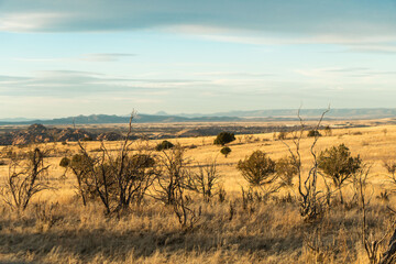 Poster - Rolling hills in Arizona