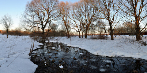 Sticker - Spring walk through the forest, beautiful panorama.