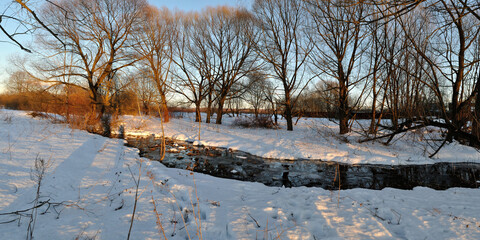 Sticker - Spring walk through the forest, beautiful panorama.