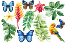 Tropical Plants On A White Background. Watercolor Hand Painted, Palm Leaves, Flowers. Bird And Butterfly