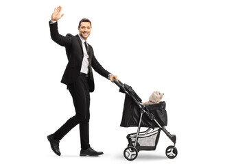 Sticker - Full length profile shot of a smiling man in a suit and tie pushing a dog stroller and waving