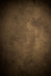 Painted canvas or muslin fabric cloth studio backdrop or background, suitable for use with portraits, products and concepts. Distinguished brown with center spot.
