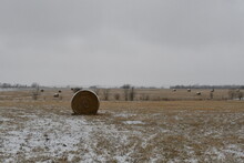 Hay Bale In A Snowy Rural Farm Field