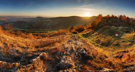 Canvas Print - majestic particolored forest with sunny beams. natural park. dramatic unusual scene. red and yellow 