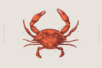 Wall Mural - Hand-drawn red crab on a light background. Retro picture for the menu of fish restaurants, markets, and shops. Vector illustration in vintage engraving style.