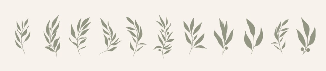 Set of leaves. Hand drawn decorative green leaf element