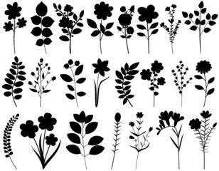 Wall Mural - plants, flowers silhouette set, collection, isolated vector