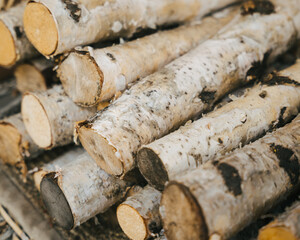 Wall Mural - Closeup of a pile of chopped wood