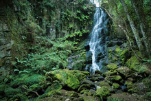 Waterfall, Green Landscape. Galicia, Spain