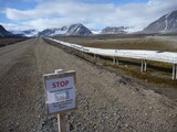 Fototapeta Sawanna - przydrożny znak ostrzegający o obecności niedźwiedzi polarnych przy jednej z szutrowych dróg na grenlandii